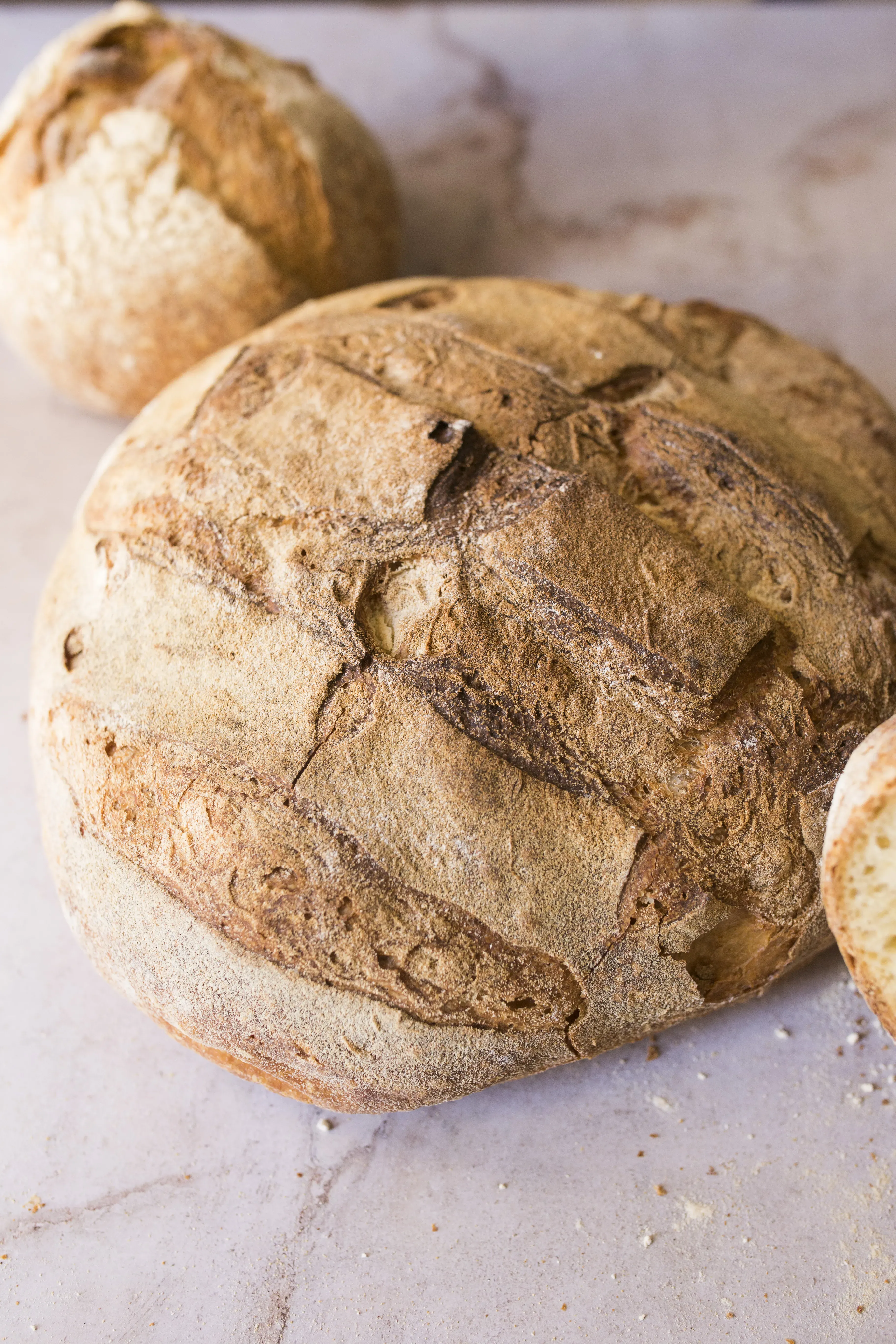 Pane sardo appena sfornato